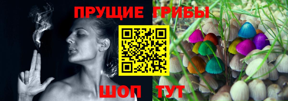 Галлюциногенные грибы Psilocybe Красноармейск